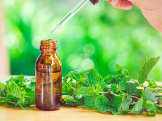 The peppermint extract in small bottle near peppermint leaf on wooden table. The essential oil falling from glass dropper into organic bio alternative medicine, brown bottle.