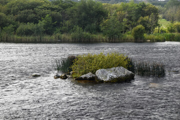 Along the Corribe river in Galway on the west coast of Ireland