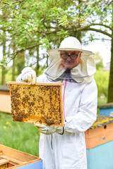 Vertical photo of a beekeeper holding a panel of an artificial bee hive