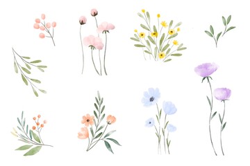 spring flower background, Watercolor flower with leaves isolated on white background,botanical for decorative card or design invitations ,botanical elements 