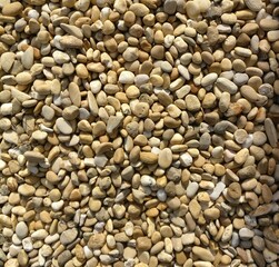 Nature South of France Landscape