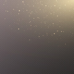 Shiny magic dust particles. Sparkling Glittering Dust Particles. Christmas dust. light effect.Vector