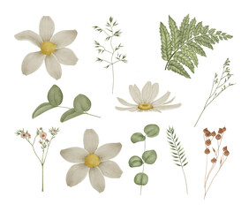 Fototapeta Watercolor rustic wild flowers and daisy chamomiles greenery clipart obraz