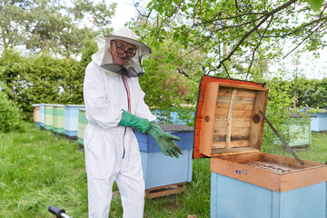 Aged beekeeper putting on gloves to protect from bees while working