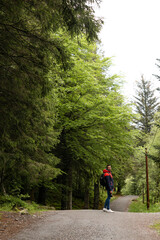Fototapeta premium Young man walking among trees in Norway