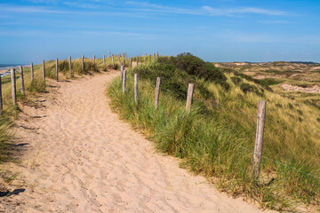Fototapeta na wymiar View along a footpath on the dunes in the North Holland dune reserve near Egmond aan Zee/Netherlands