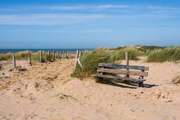 Fototapeta na wymiar A bench in the North Holland dune reserve near Egmond aan Zee/Netherlands