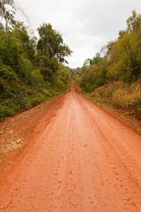 Fototapeta na wymiar Vista de un camino de tierra en la selva del parque Nacional Iguazu. Argentina. Ruta 101.