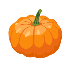 Orange pumpkin vector illustration isolated on white background. Autumn halloween pumpkin