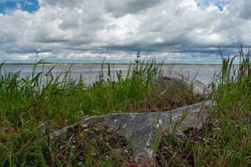 Fototapeta na wymiar the beautiful volga river coast