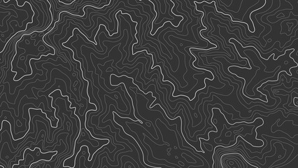 The stylized height of the topographic contour in lines and contours. The concept of a conditional geography scheme and the terrain path. White on black. Wide size. Vector illustration.