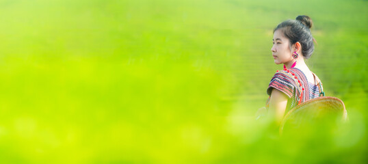 Fototapeta premium Woman and green tea plantation,girl and tea plantation,Hill tribe Asian woman in traditional clothes collecting tea leaves with basket at Mae Salong Mountain, Mae Chan, Chiang Rai, Thailand with Choui