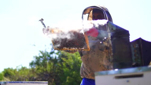beekeeping and honeybee and agriculture and honey and honeyhive