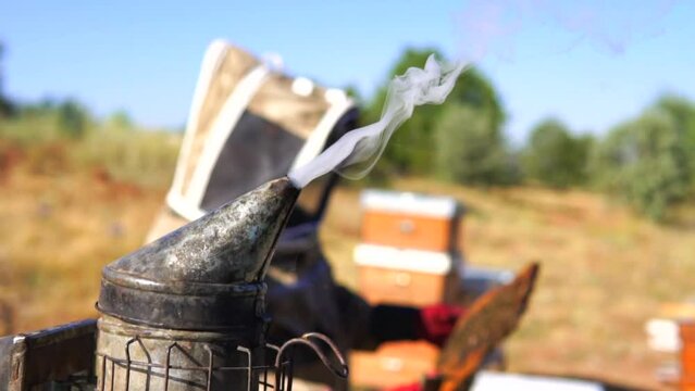 beekeeping and honeybee and agriculture and honey and honeyhive