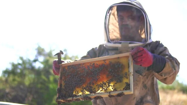 beekeeping and honeybee and agriculture and honey and honeyhive