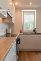 European style interior design. Modern apartment showcase.