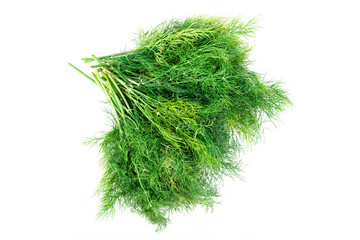 bunch fresh green dill isolated on white background.