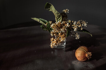 Valencia, Spain:11.25.2020; The lifestileflower branch and fruit of pomegranate