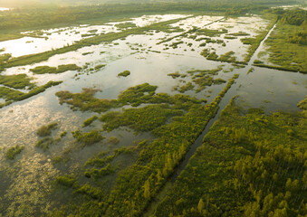 Marshland and Swamp landscape. Peatland in wet. Wild mire. East European swamps and Peat Bogs....