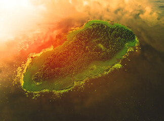 Desert island on sunset. Island in sea. Island with forest in sea, aerial view. Green fir on coast...