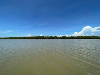 Bang Pakong River near the district Mangrove forest, wallpaper.