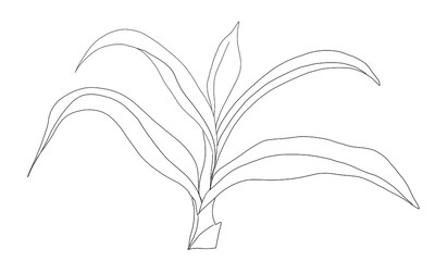Hand drawn leaves of a plant, digitally created on a tablet, vector illustration
