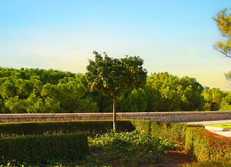 Fototapete bei efototapeten.de bestellen   