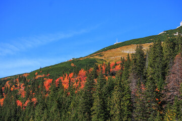 Tatry jesień w górach, kolorowe liście  - obrazy, fototapety, plakaty