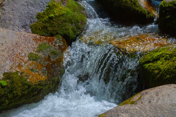 A creek and flowing water close up.