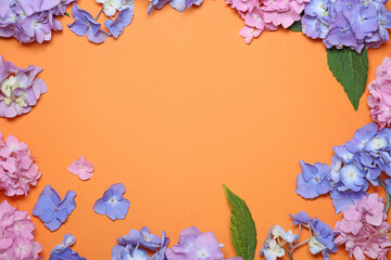 pink, blue hydrangea flowers on an orange background. wallpaper. opening