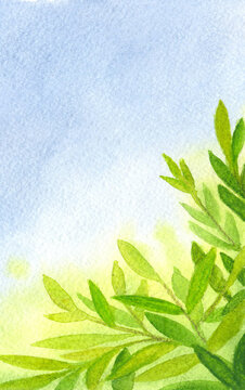 Watercolor drawing green branches and blue sky.