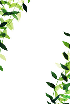 葉っぱ Images Browse 129 877 Stock Photos Vectors And Video Adobe Stock