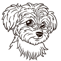 Maltese dog cartoon illustration. Cute animal print for t-shirts, mugs, totes, stickers, nursery wall arts, greeting cards, etc.
