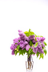 Transparent glass vase with flowers. Branches of lush lilac isolated on white background.