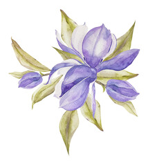 Watercolor magnolia flower blossom bouquet for wedding, baby shower invitation