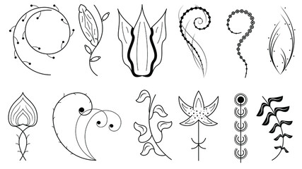 Abstract Set Doodle Elements Hand Drawn Collection Botanic Herbal Flora Leaf Branch Vine Flower Plant Elements F Vector Desgin Style