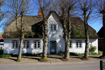 Schilfgedeckte Häuser auf der Insel Föhr, Schleswig-Holstein, Deutschland, Europa  -
Thatched houses on the island of Foehr, Schleswig-Holstein, Germany, Europe
