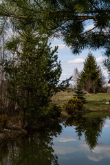 Scenic landscape. Beautiful nature. Trees and bushes near pond. Reflection in water.