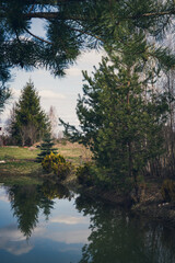 Obraz premium Scenic landscape. Beautiful nature. Trees and bushes near pond. Reflection in water.