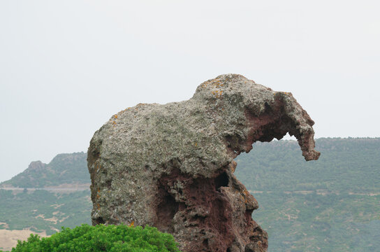 The Elephant's Rock, a stone boulder with elephant shape. Sedini, Sardinia, italy