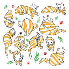Funny striped cats set, collection of cartoon pets, in different angles and poses, doodle