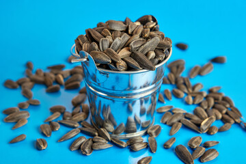 A small bucket filled with sunflower seeds on a blue background.