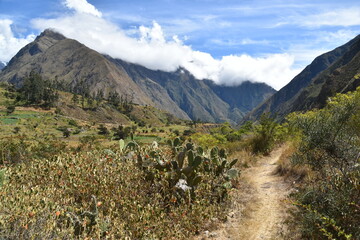 Fototapeta premium The dramatic landscapes of the Andes Mountains and cloud forests around the hiking path on the Inca Trail in Peru