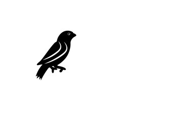 Vogel Schwarz Weiß