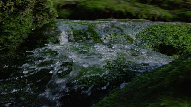 SLOW MOTION, VERTICAL, CLOSE UP: Shimmering crystal clear river water flows over the mossy rocks in the heart of a gloomy forest in Slovenia. Detailed shot of glassy stream coursing through woods.