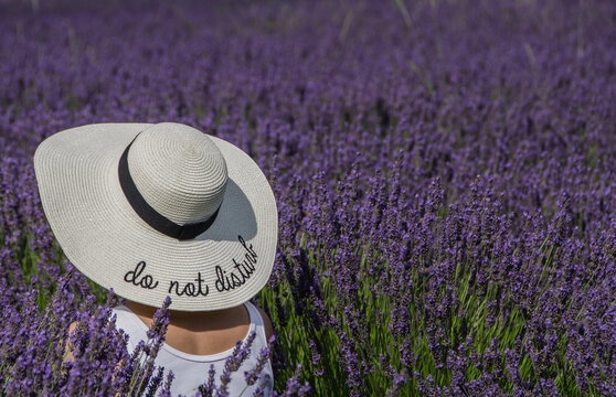 do not distrub, bitte nicht st&ouml;ren im Lavendelfeld, beschriftet auf einem wei&szlig;em Hut