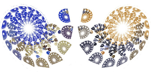 A pattern of blue, gold and gray spirals on a white background. Abstract fractal background. A set of graphic design elements. 3d illustration. 3d rendering.