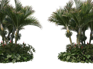 Fototapeta na wymiar Tropical plants on a white background