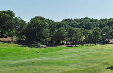 Fototapeta na wymiar Empty golf course, green lawn, no people.