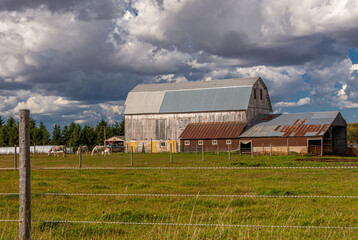 Obraz premium Upper Peninsula of Michigan Farm